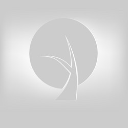 Similar image 13300648