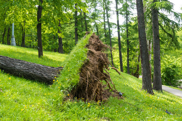 Similar image 13301062