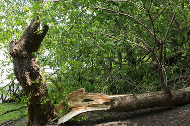 Similar image 13301063