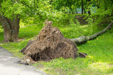 Similar image 13301064