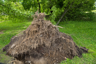 Similar image 13301077