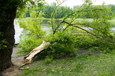 Similar image 13301078