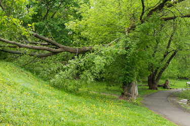 Similar image 13301079