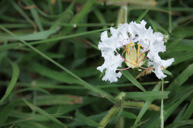 Similar image 13308632