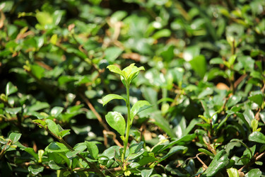 Similar image 13308634