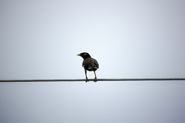 Similar image 13308654