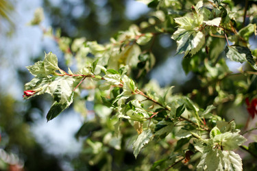 Similar image 13308656