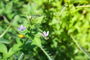 Similar image 13308635