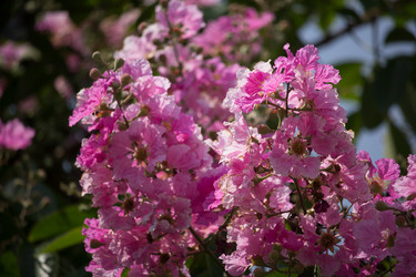 Similar image 13308658