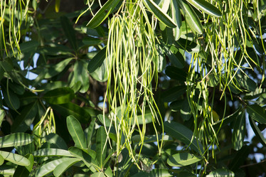 Similar image 13308660