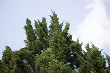 Similar image 13308637