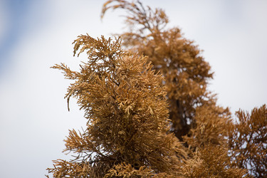 Similar image 13308638