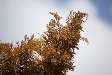 Similar image 13308663