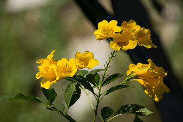 Similar image 13308664