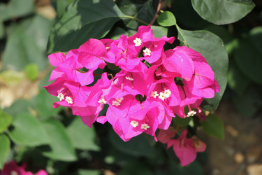 Similar image 13308682