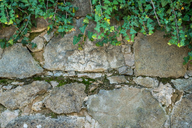 Similar image 13310437