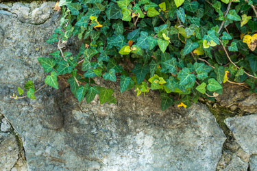 Similar image 13310438