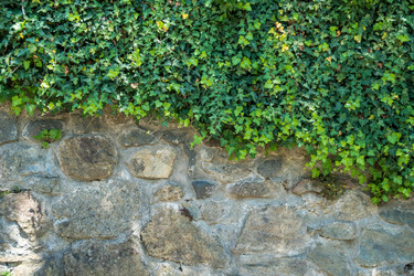 Similar image 13310440