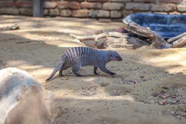 Similar image 13310397