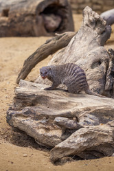 Similar image 13310398