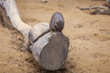 Similar image 13310401