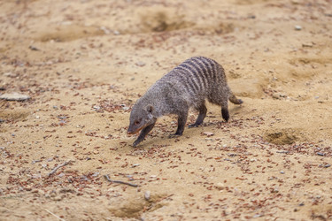 Similar image 13310402