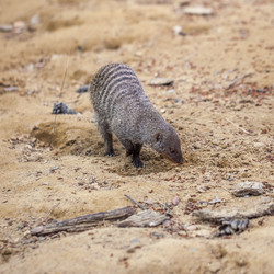 Similar image 13310404