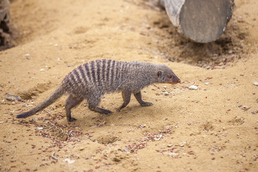 Similar image 13310417