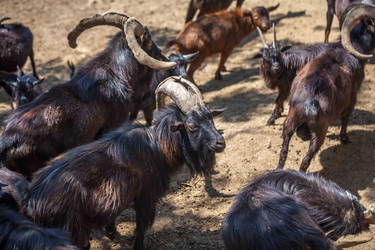 Similar image 13310407