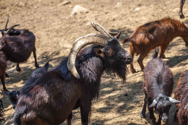 Similar image 13310408