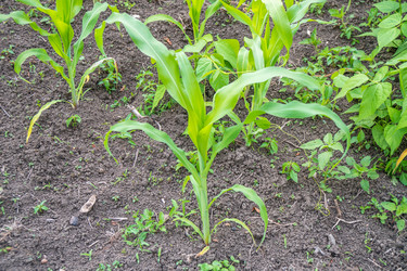 Similar image 13310450