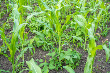 Similar image 13310462