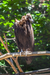 Similar image 13310409