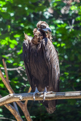 Similar image 13310411