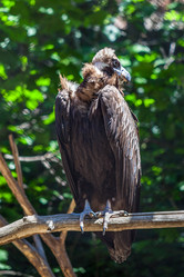 Similar image 13310412