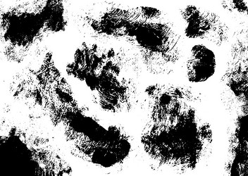 Similar image 13319884