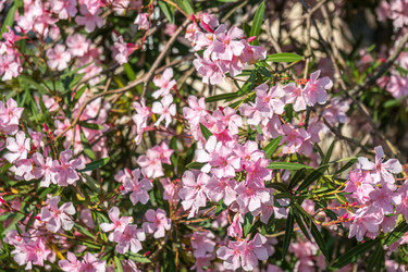 Similar image 13310424