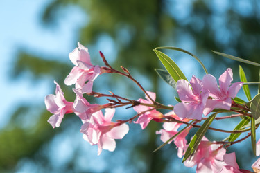 Similar image 13310425