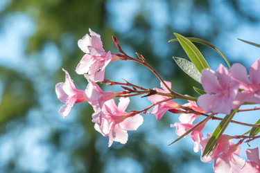 Similar image 13310434