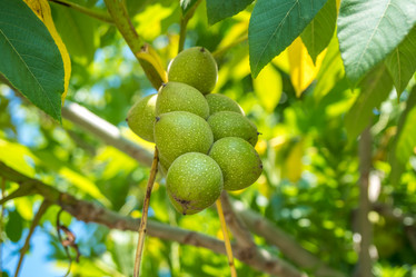 Similar image 13310469