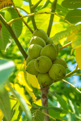 Similar image 13310472