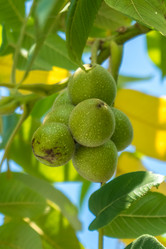 Similar image 13310478