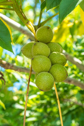 Similar image 13310481