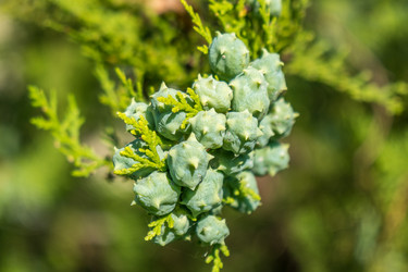 Similar image 13310483