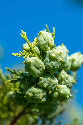 Similar image 13310443