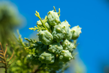 Similar image 13310444