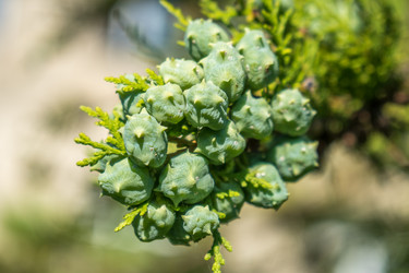 Similar image 13310446