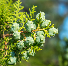 Similar image 13310453