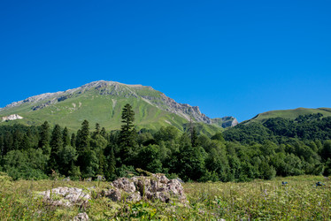 Similar image 13289883