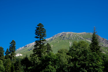 Similar image 13289886